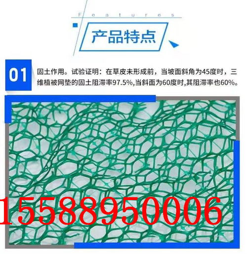 陽(yáng)江三維植被土工網(wǎng)墊 生態(tài)護(hù)坡的優(yōu)選材料