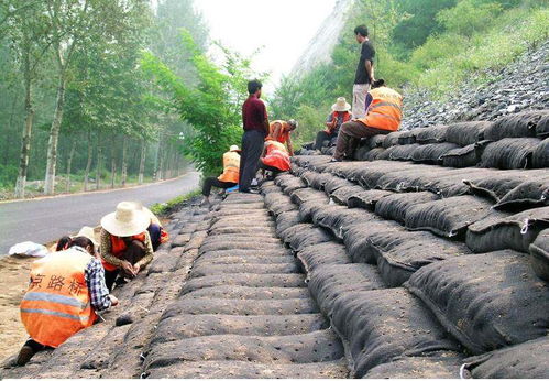 沁陽(yáng)優(yōu)質(zhì)三維土工網(wǎng)墊廠家 貨源充足，服務(wù)周到