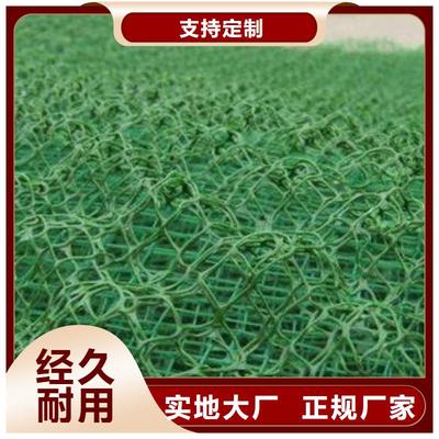 德州、青島、日照及山東三維土工網(wǎng)墊的應(yīng)用與優(yōu)勢(shì)